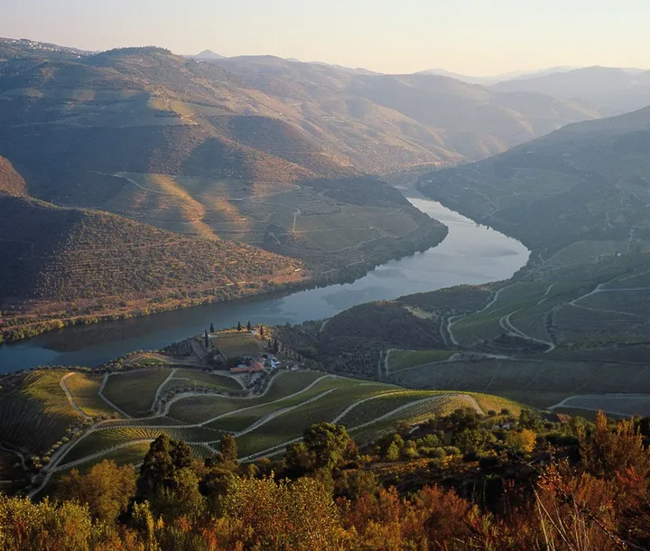 Vale do Douro